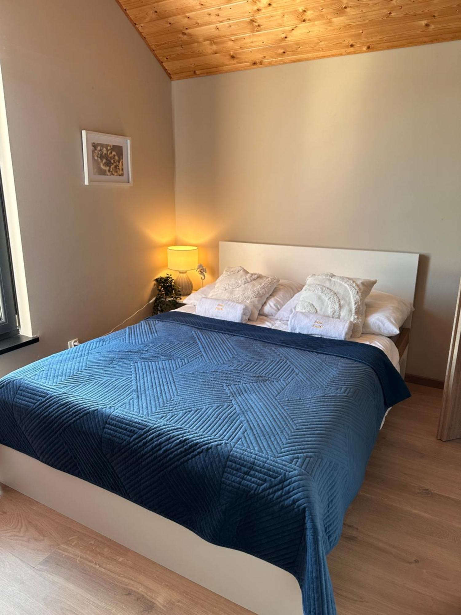 Domki Zlote Piaski Kryty Basen Sauna Jacuzzi Jastrzebia Gora Exterior foto